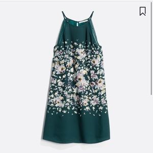 Collective Concepts dress